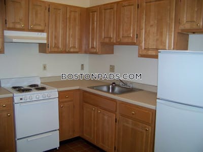 Downtown 1 Bed 1 Bath Boston - $2,700 No Fee