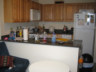 Northeastern/symphony 1 Bed 1 Bath Boston - $3,000
