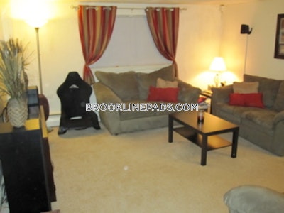 Brookline 1 Bed 1 Bath  Brookline Hills - $4,300