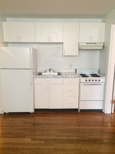 Brookline Apartment for rent 1 Bedroom 1 Bath  Washington Square - $2,710 No Fee