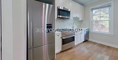 Brighton 1 Bed 1 Bath BOSTON Boston - $3,500 No Fee