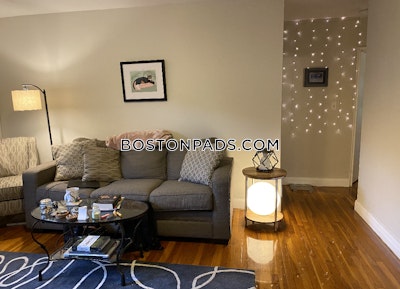 Brighton 2 Bed 1 Bath BOSTON Boston - $2,950