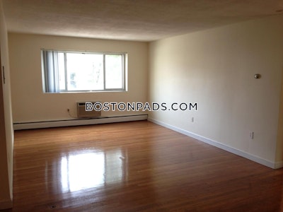 Allston 2 Bed 1 Bath BOSTON Boston - $3,300