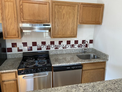 Brighton 3 Beds Brighton Center Boston - $3,300