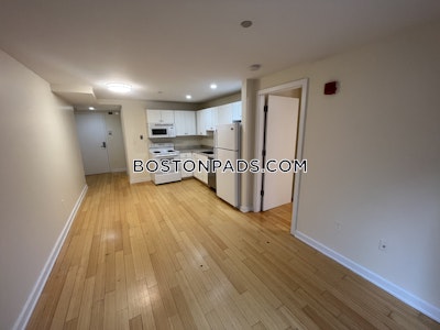 Downtown 1 Bed 1 Bath Boston - $3,200 No Fee