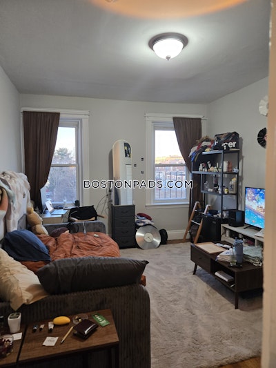 Allston 2 Beds 1 Bath Boston - $2,925 No Fee