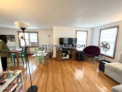 Brighton 3 Beds 1 Bath Boston - $3,300 50% Fee