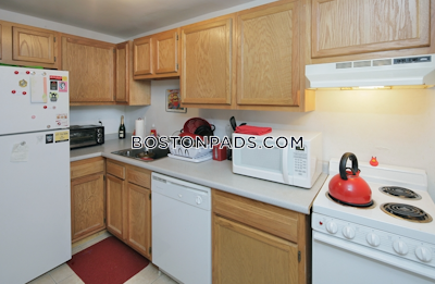 Allston 2 Beds 1 Bath Boston - $2,700 No Fee