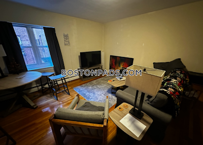 Brighton 2 Beds 1 Bath Boston - $2,930