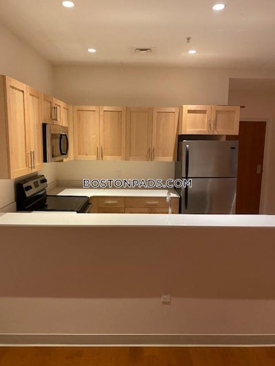 Downtown 2 Bed 1 Bath BOSTON Boston - $3,850