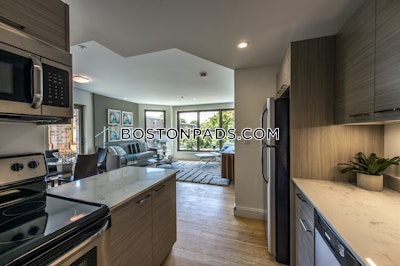 Allston 2 Beds 2 Baths Boston - $4,500