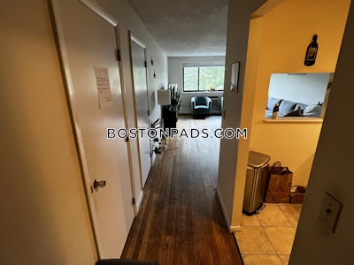 Cambridge 2 Bed 1 Bath CAMBRIDGE  Mt. Auburn/brattle/ Fresh Pond - $2,800