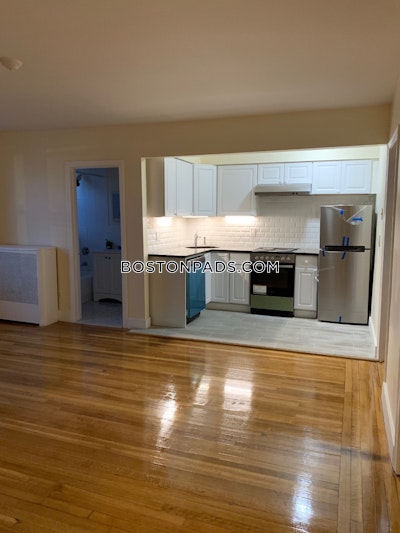 Allston/brighton Border 2 Beds Brighton Boston - $3,050