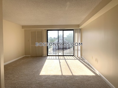 Cambridge 2 Bed 1.5 Bath CAMBRIDGE  Central Square/cambridgeport - $3,950 No Fee