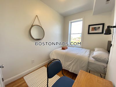 Fort Hill 4 Bed 1.5 Bath BOSTON Boston - $4,800 No Fee