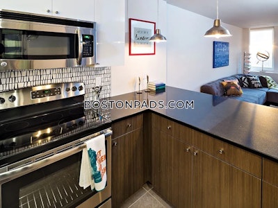 Back Bay 2 Beds 2 Baths Boston - $9,505