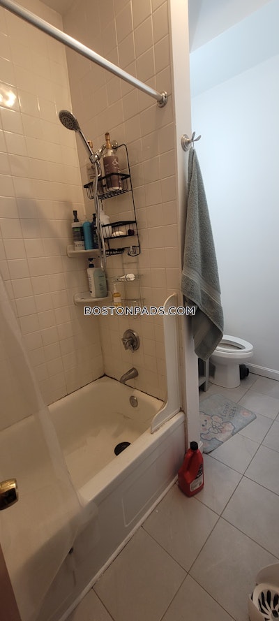 Mission Hill 6 Beds 4 Baths Boston - $8,900