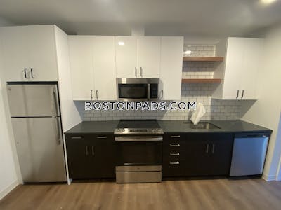 Allston 2 Beds 2 Baths Boston - $4,175 No Fee