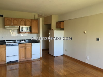 Allston Studio 1 Bath Boston - $1,850