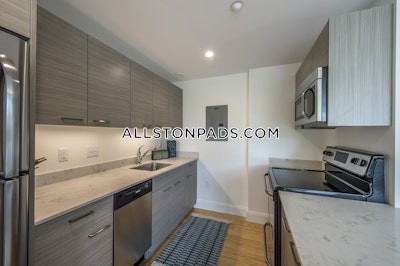 Allston Apartment for rent 2 Bedrooms 2 Baths Boston - $4,400