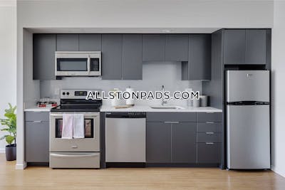Allston Apartment for rent 1 Bedroom 1 Bath Boston - $3,901