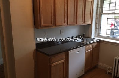 Brighton Apartment for rent 1 Bedroom 1 Bath Boston - $2,395 No Fee