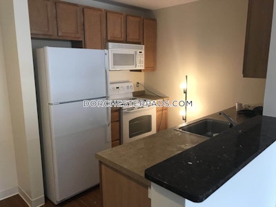 Dorchester Apartment for rent 2 Bedrooms 2 Baths Boston - $7,506 No Fee