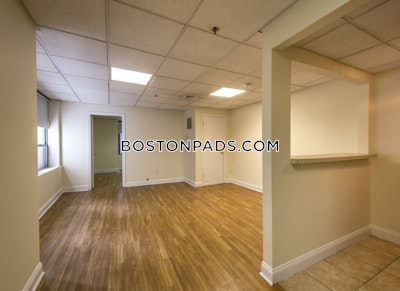 Chinatown Apartment for rent Studio 1 Bath Boston - $2,450 No Fee