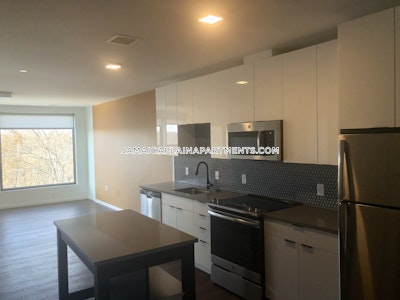 Jamaica Plain Apartment for rent 2 Bedrooms 1 Bath Boston - $4,770 No Fee
