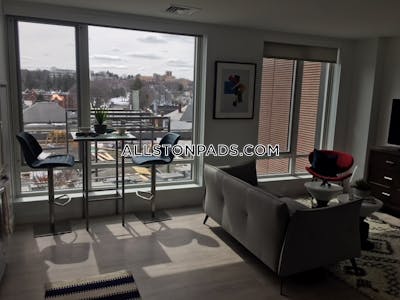 Brighton Apartment for rent 2 Bedrooms 2 Baths Boston - $6,569 No Fee