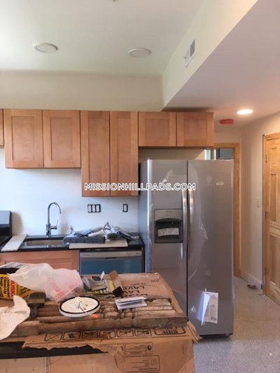 Roxbury Apartment for rent 3 Bedrooms 3 Baths Boston - $4,100
