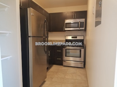 Brookline Apartment for rent 1 Bedroom 1 Bath  Boston University - $3,300 No Fee