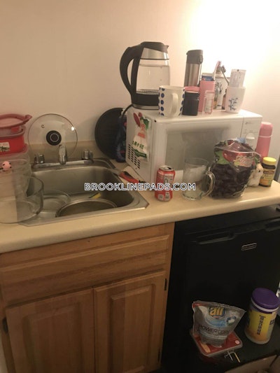 Brookline Studio 1 Bath  Longwood Area - $2,045