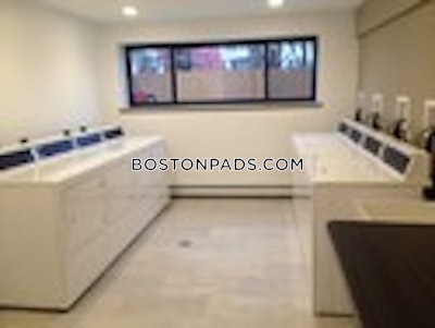 Cambridge Apartment for rent 1 Bedroom 1 Bath  Mt. Auburn/brattle/ Fresh Pond - $2,600 No Fee