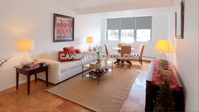 Cambridge Apartment for rent 1 Bedroom 1 Bath  Porter Square - $2,902 No Fee