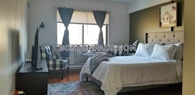 Allston Apartment for rent Studio 1 Bath Boston - $1,995 No Fee