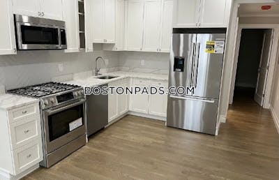 Brighton Apartment for rent 3 Bedrooms 2 Baths Boston - $4,600 No Fee
