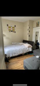 Northeastern/symphony Apartment for rent 1 Bedroom 1 Bath Boston - $3,400 No Fee