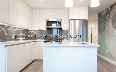 West End Apartment for rent 2 Bedrooms 2 Baths Boston - $10,997