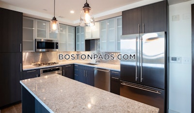 West End Apartment for rent 1 Bedroom 1 Bath Boston - $3,867