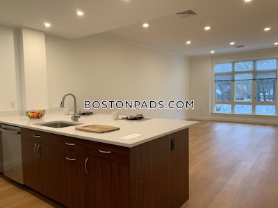 Brookline Apartment for rent 1 Bedroom 1 Bath  Chestnut Hill - $3,280 No Fee