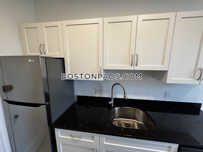 Brighton Apartment for rent 1 Bedroom 1 Bath Boston - $2,810 No Fee
