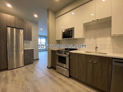 Dorchester/south Boston Border Luxurious 2 Bed 1 Bath Boston - $3,100