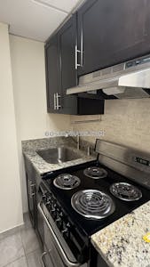 Chinatown Apartment for rent Studio 1 Bath Boston - $2,525 No Fee