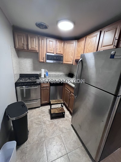 Brookline Apartment for rent 1 Bedroom 1 Bath  Boston University - $2,900 No Fee