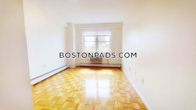 Brookline Apartment for rent 1 Bedroom 1 Bath  Boston University - $3,150 No Fee