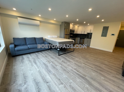 Brookline Apartment for rent Studio 1 Bath  Boston University - $2,700 No Fee