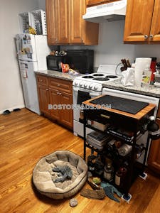 Brighton Apartment for rent 1 Bedroom 1 Bath Boston - $1,995