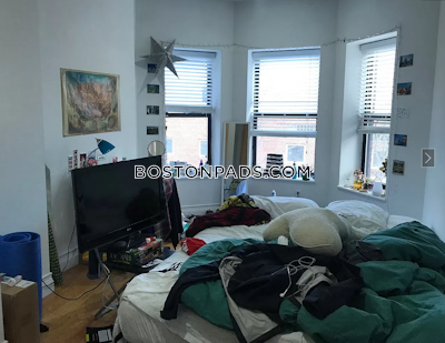 Northeastern/symphony Apartment for rent 4 Bedrooms 1 Bath Boston - $6,000