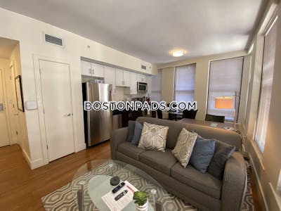 Downtown Apartment for rent 1 Bedroom 1 Bath Boston - $3,400